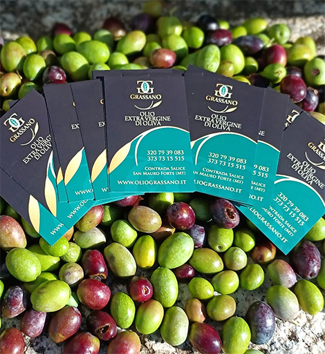 olio san mauro forte frantoio grassano