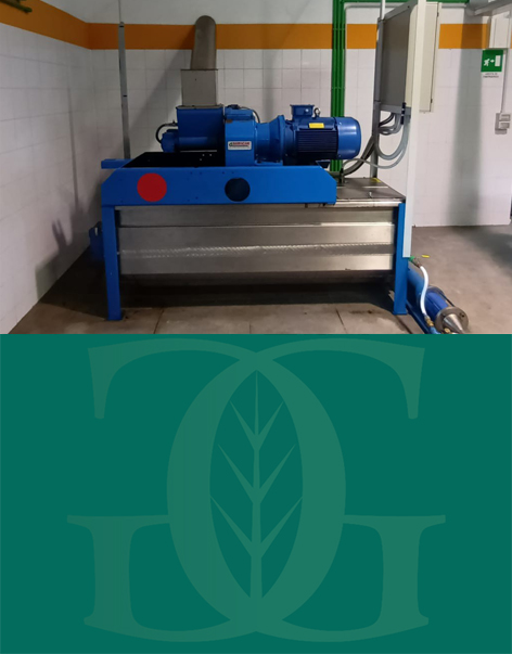 olio san mauro forte frantoio grassano