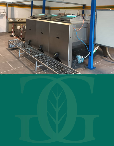 olio san mauro forte frantoio grassano