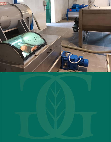 olio san mauro forte frantoio grassano