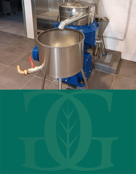 olio san mauro forte frantoio grassano